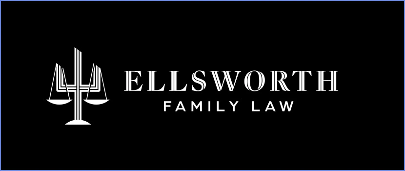 Low-Cost Legal Paraprofessional Representation